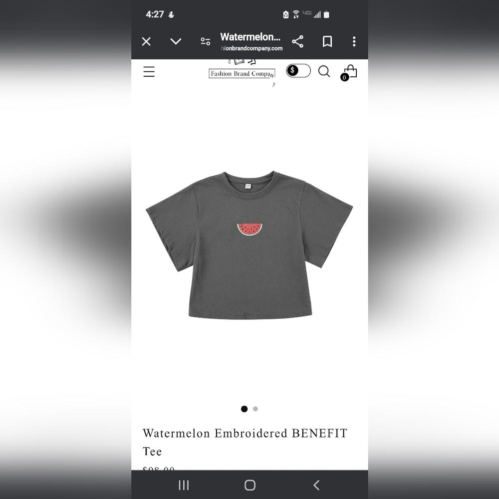 Fashion Brand Company Charcoal Watermelon Tee